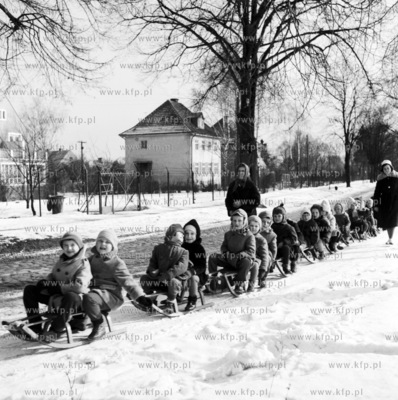 Kulig w Gdansku Oliwie na ul. Polanki 72  i 73a niedaleko...