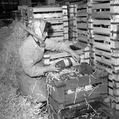 Przygotowanie do wysyłki słoików z przetworami.
1961
0006221z_elblag
Fot....