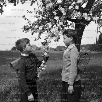 W drodze ze szkoły. 
1968
0004902z_1968
Fot. Zbigniew...