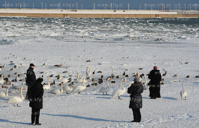 Sopot. Zimowa sceneria na plazy i sopockim molo. 16.02.2012...