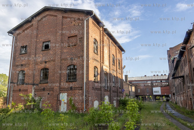 Botaniczny Pruszcz. Spacer badawczy śladem roślin...