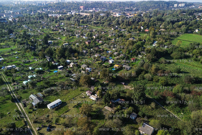 Rodzinny Ogród Działkowy im. Stefana Okrzei w Gdańsku....