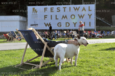 Festiwal Filmowy w Gdyni. Relaks na placu Grunwaldzkim....