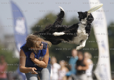 Sopot. Hipodrom. Zawody Frisbee - latajace psy za latajacym...