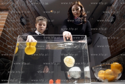 Gdansk. Centrum Hewelianum. Zajecia, w trakcie których...