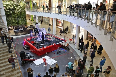 Galeria Przymorze. Pokaz rzeźbienia w lodzie połączony...