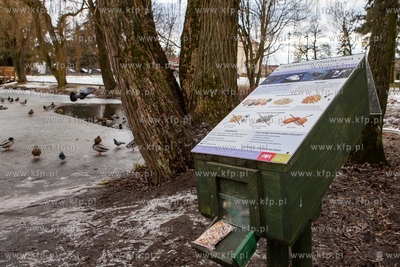 Zima w Parku Oruńskim. Nz. Pojemnik z darmową karmą...
