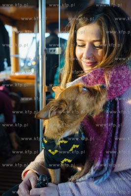Zabytkowy tramwaj dla pań z okazji ich święta. 8.03.2020...