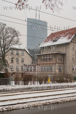 Zima w Oliwie. 19.01.2021 / fot. Anna Rezulak / KFP