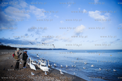 Sopot. Sloneczny dzien na plazy.
09.12.2011
fot....