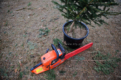 Gdansk. Sprzedaz choinek na osiedlu Chelm. 
23.12.2011
fot....