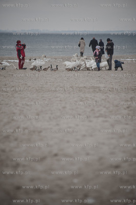 Gdynia. Niedzielne, wielkanocne popoludnie na plazy...