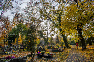 Gdansk. Cmentarz Garnizonowy. Dzien Wszystkich Swietych.
01.11.2015
fot....