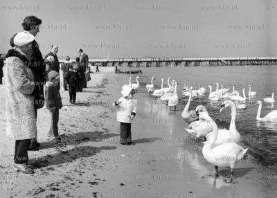 Wiosenny spacer po sopockiej plazy. 15.04.1976 3kwiecien76_z.kosycarz_p24...