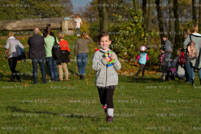 Szkolka jazdy konnej Galoopka zorganizowala dla swoich...