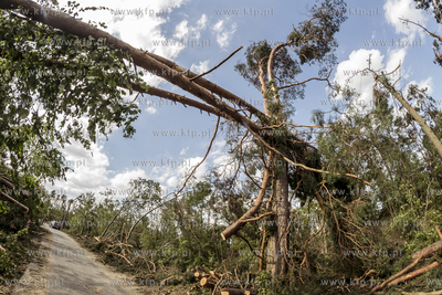 Skutki nawałnicy, która z piątku na sobotę przeszła...