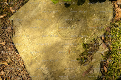 Cmentarz dawnej gminy żydowskiej w Skarszewach, założony...