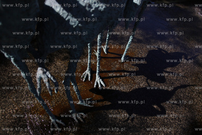 Gdansk Wrzeszcz. Fontanna przy al. Grunwaldzkiej.
03.06.2011
fot....