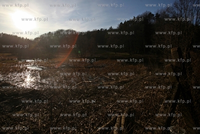 Prywatna działka na terenie Trójmiejskiego Parku...