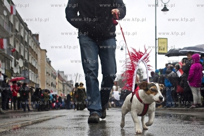 Gdansk. Parada na Swieto Niepodleglosci.
11.11.2016
fot....