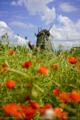 Drewniano - murowany zabytkowy wiatrak holenderski...