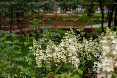 Park na Targu Rakowym po modernizacji. 5.08.2019 /...