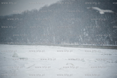 Gdynia. Mrozne zimowe popoludnie na plazy miejskiej....