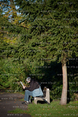 Gdansk. Sloneczne jesienne popoludnie w Parku Orunskim.
17.10.2012
fot....