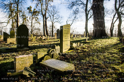 Gdansk. Zdewastowane przez nieznanych sprawcow plyty...