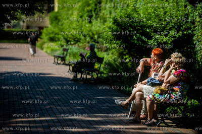 Gdańsk. Park Oliwski. Konferencja prasowa przedastawiająca...