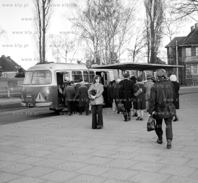 Autobusy miesjkie marki jecz popularne ogorki na petli...