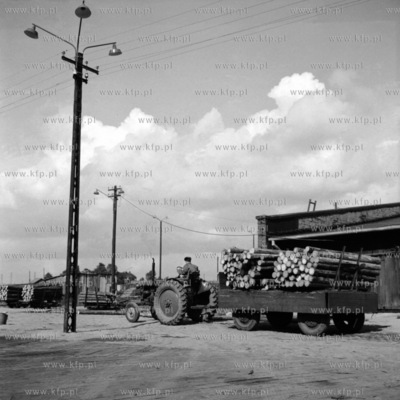 Transport bali drewna przeznaczonych na eksport w porcie...